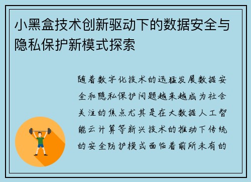 小黑盒技术创新驱动下的数据安全与隐私保护新模式探索